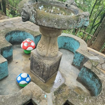 WhatsApp Image 2025-07-01 at 10.35.50 AM